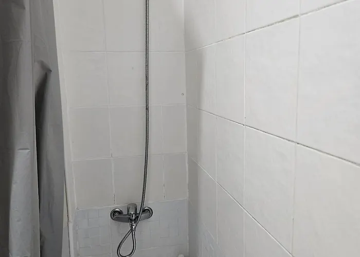 Single Luminous 홈스테이