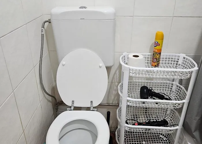 Single Luminous Проживание в семье Лиссабон